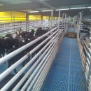 늘푸른염소농장 이미지