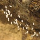 용황초등학교 이미지