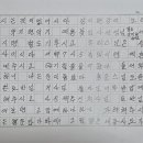 박*자