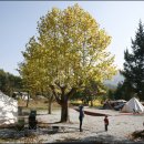 아트인아일랜드야영장 이미지