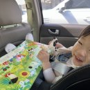 목원농장 | 17월 아기랑 안성팜랜드 주말 서울근교 나들이