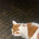 강화캐라반캠핑장 이미지