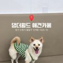 경기도 수원시 팔달구 효원로219번길 48 (인계동) | 애견입장 무료, 인계동 중대형견 가능한 애견카페 “댕더월드” 다녀온날🐶