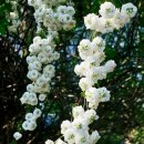 원터근린공원 이미지