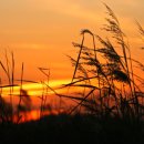 단소 대금 소금 이미지