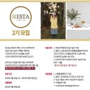 씨에스타 이미지