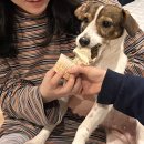 월월스낵 이미지