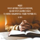 한나의내일