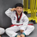 더뉴 태권도장 이미지