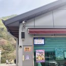 금산-13 | 충남 여행 벚꽃 놀이 명소 - 금산 보곡산골 산벚꽃축제 작년 후기 (4/13~4/21)