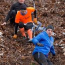 Brave hill 이미지