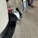 정관장 오송점 | 상상빌리지 페스티벌 후기
