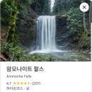 파랑새작은도서관 | 8월, 밴쿠버 아일랜드 로드트립 여름휴가