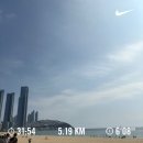 아로니아 퀸 | 25.9~10월 일상