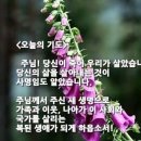 샬롬 - 종로구 율곡로17길 19 | 샬롬