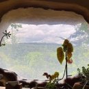 사계의들녘 이미지