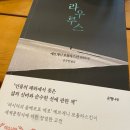 라우루스 이미지