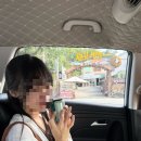 부림파크 | 베트남 푸꾸옥 남부 여행 - 혼똔섬 케이블카 워터파크 선셋타운 맛집 마사지 키스오브더씨 쇼 후기