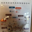 가족호텔 코스모스동 | 무주덕유산리조트 가족호텔 골드 코스모스동 숙박 후기