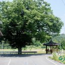 정곡면사무소 이미지