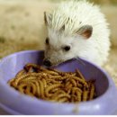 늘갓농장 이미지