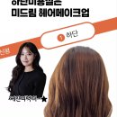 미드림헤어 - 김해시 | 미드림헤어