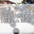 리더스팜플러스