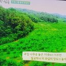 김성호농장 네이버블로그