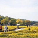 정원에 머물다 이미지