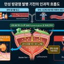 가가수조