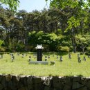 천성국군묘지 이미지