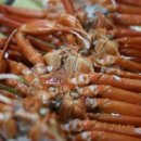 강릉친구집 이미지