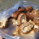 향기나는펜션민박 이미지