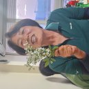 만성호