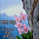 멋진 하루 이미지