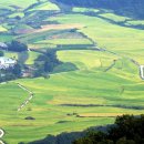 비지1리 이미지