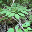 구산-024 이미지