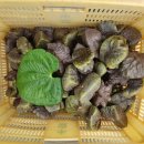 찬호농장 이미지