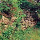 순천-49호 티스토리