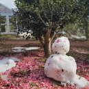 동백목장 이미지