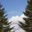 신림작은목욕탕 | 잔디사이트/애견동반/친절한 사장님 도모횡성 캠핑장