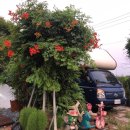 호철농장 이미지