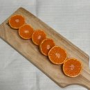 민우네농장 | 제주감귤맛집, 민우네농장 꼬마귤 이벤트 진행해요!