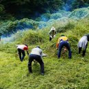 구좌공설묘지 이미지