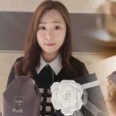 레드로즈빈