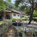 홍천부동산공인중개사사무소 | 청정한 강원도와 인제부동산, 힐링라이프를 위한 홍천 신개발공인중개사사무소 이용법 꿀팁
