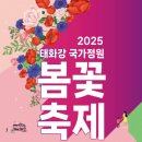 우리가족 정원 만들기 | 태화강 국가정원 봄꽃축제 완전 정복! 일정, 사진 명소, 주차 꿀팁까지