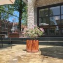 사림동152 이미지