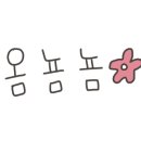 부산오돌족발 네이버블로그