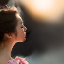 사진한장 Daum카페